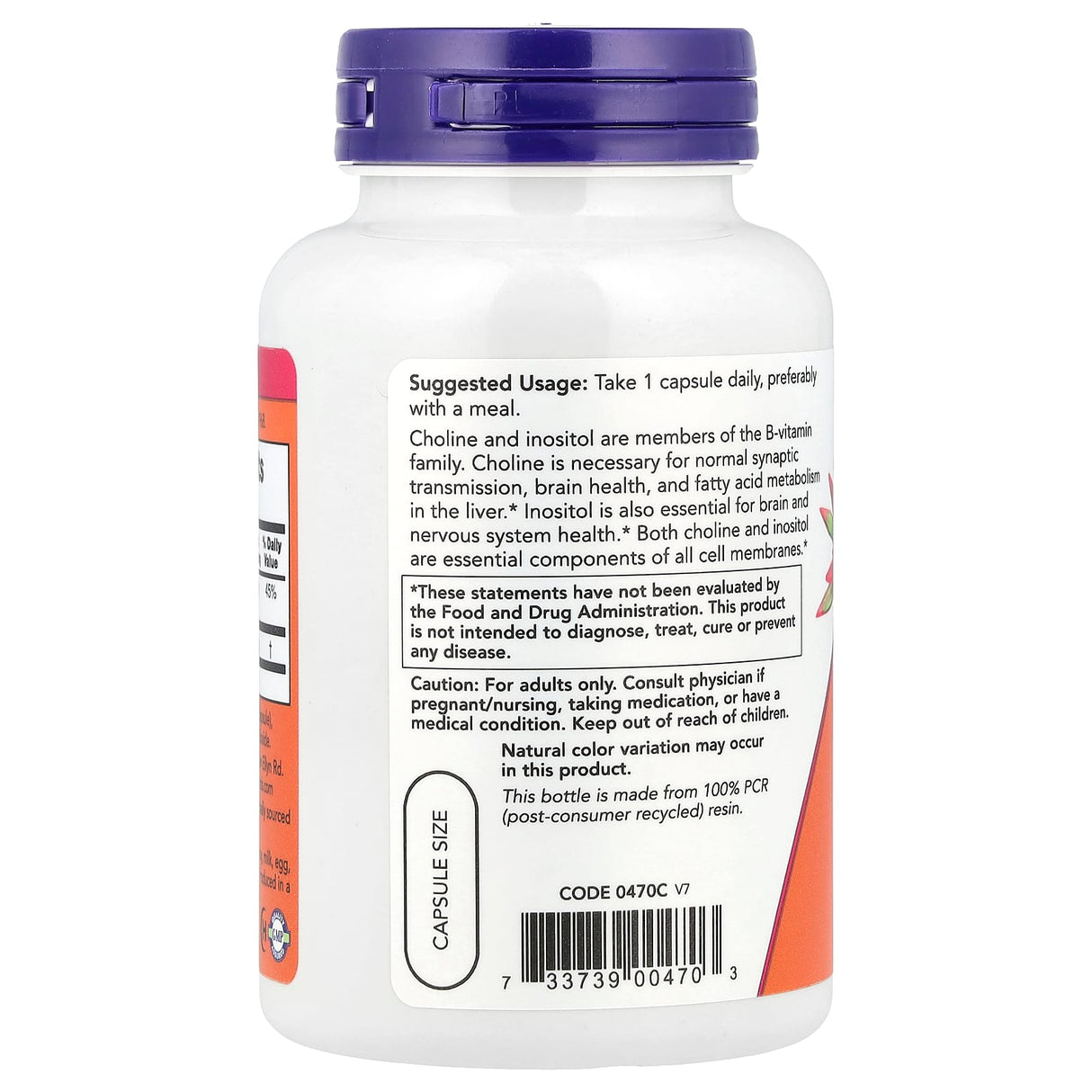 Choline and Inositol, 500mg, Now Foods, 100 capsule