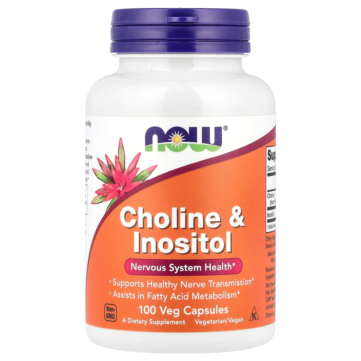 Choline and Inositol, 500mg, Now Foods, 100 capsule