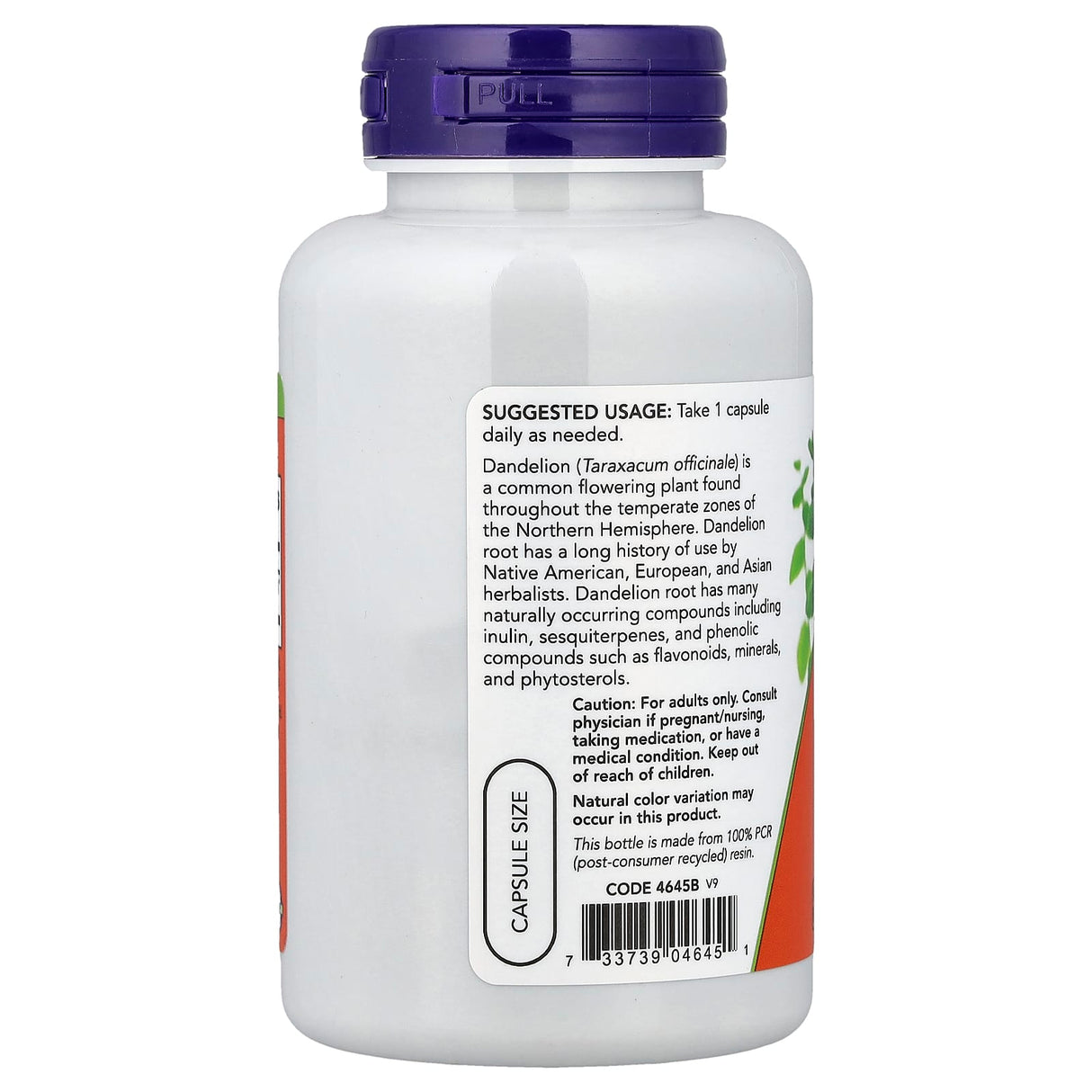 Dandelion Root (Rădacină de Păpădie) 500mg, Now Foods, 100 capsule