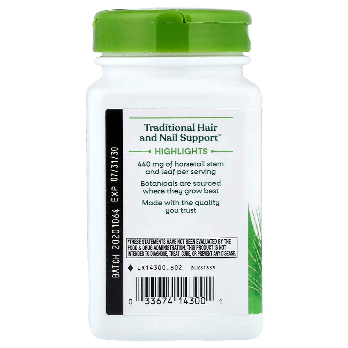 Horsetail Grass (Coada Calului), 440 mg, Nature's Way, 100 Capsule