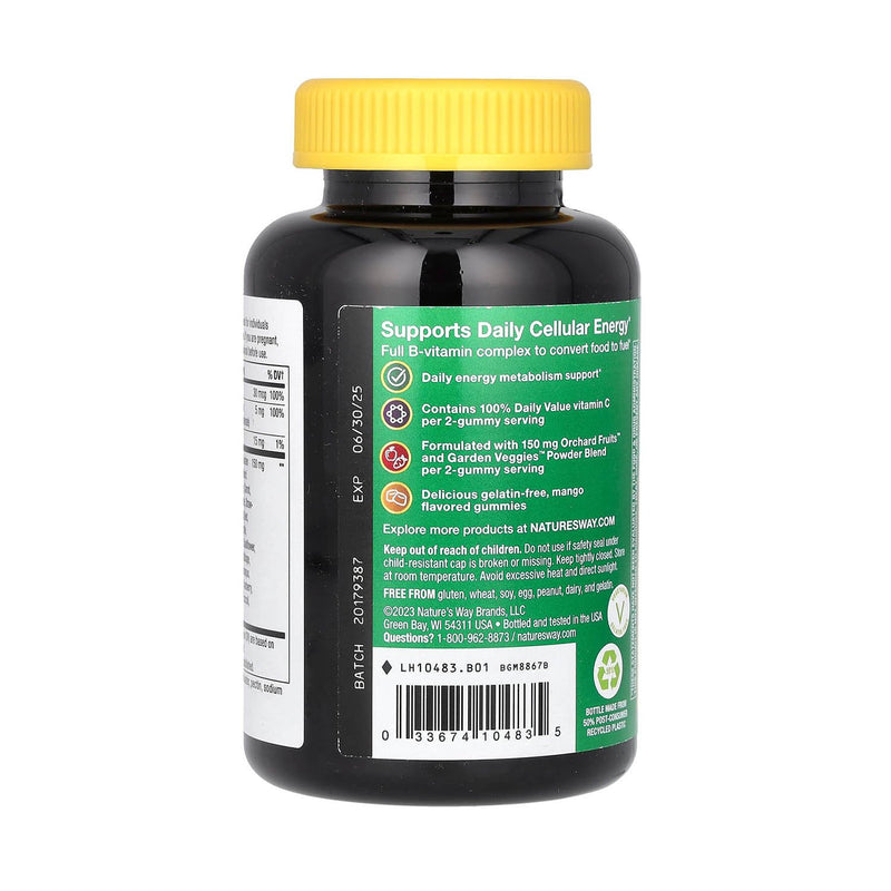 Încărcați imaginea în vizualizatorul Galerie, Alive! B-Complex Gummy, Mango, Nature's Way, 60 jeleuri
