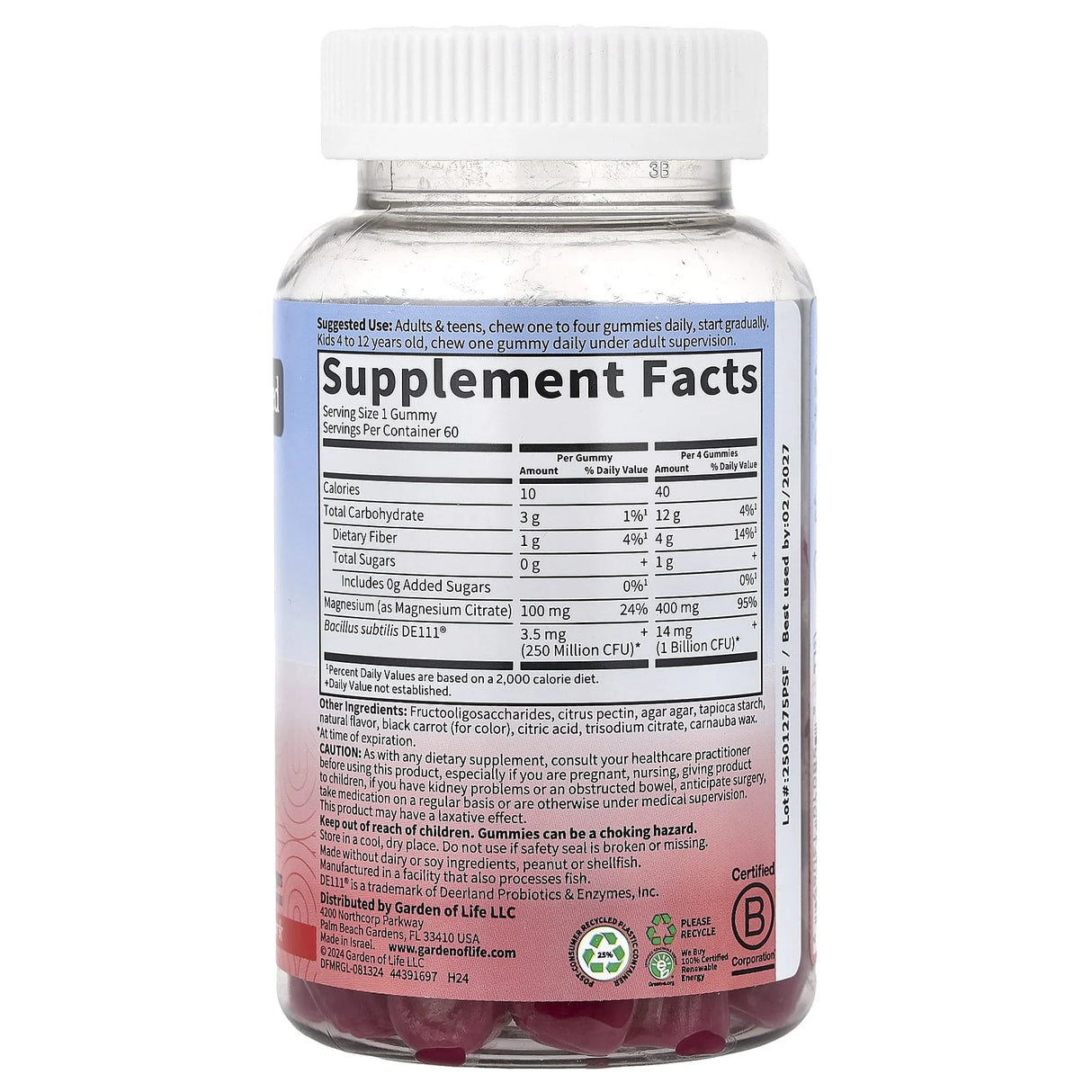 Magnesium with Pre & Probiotics Gummies, Garden of Life, 60 jeleuri