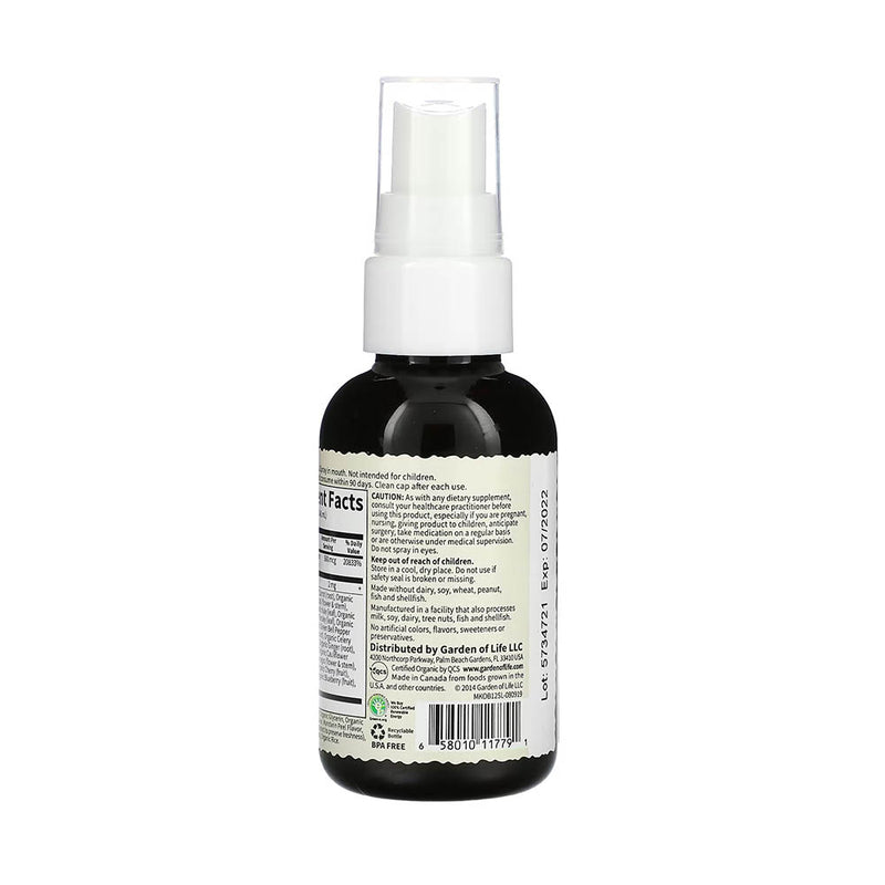 Încărcați imaginea în vizualizatorul Galerie, MyKind Organics, B-12 Organic Spray, Garden of Life, 58 ml