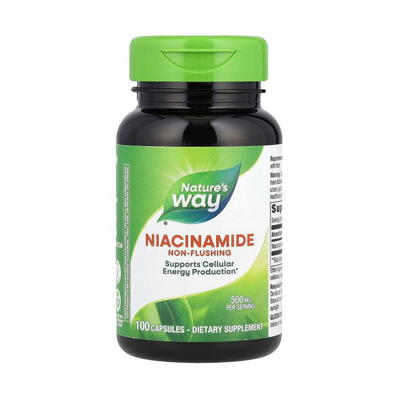Încărcați imaginea în vizualizatorul Galerie, Niacinamide (Vitamina B3), 500 mg, Nature's Way, 100 Capsule