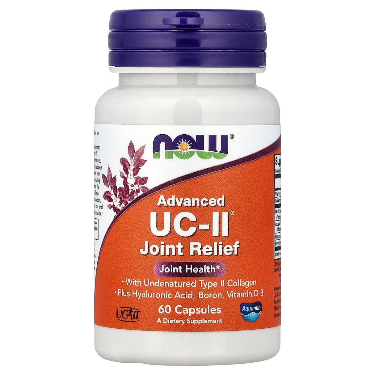 Advanced UC-II Collagen Type II, NOW Foods, 60 capsule