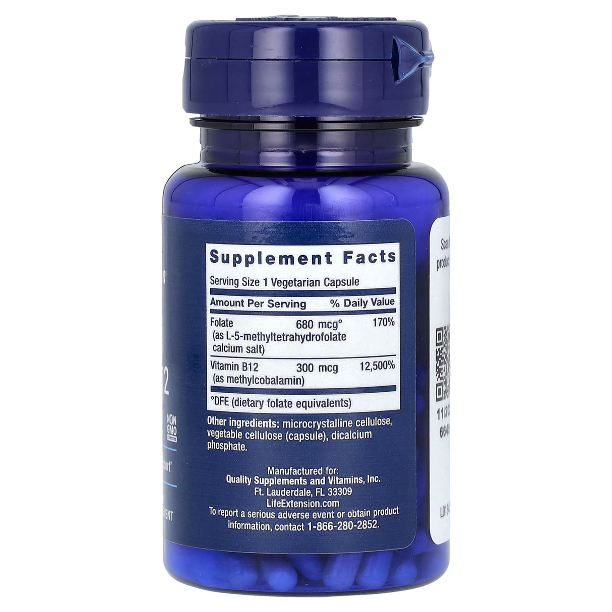BioActive, Folate & Vitamin B12, Life Extension, 90 capsule