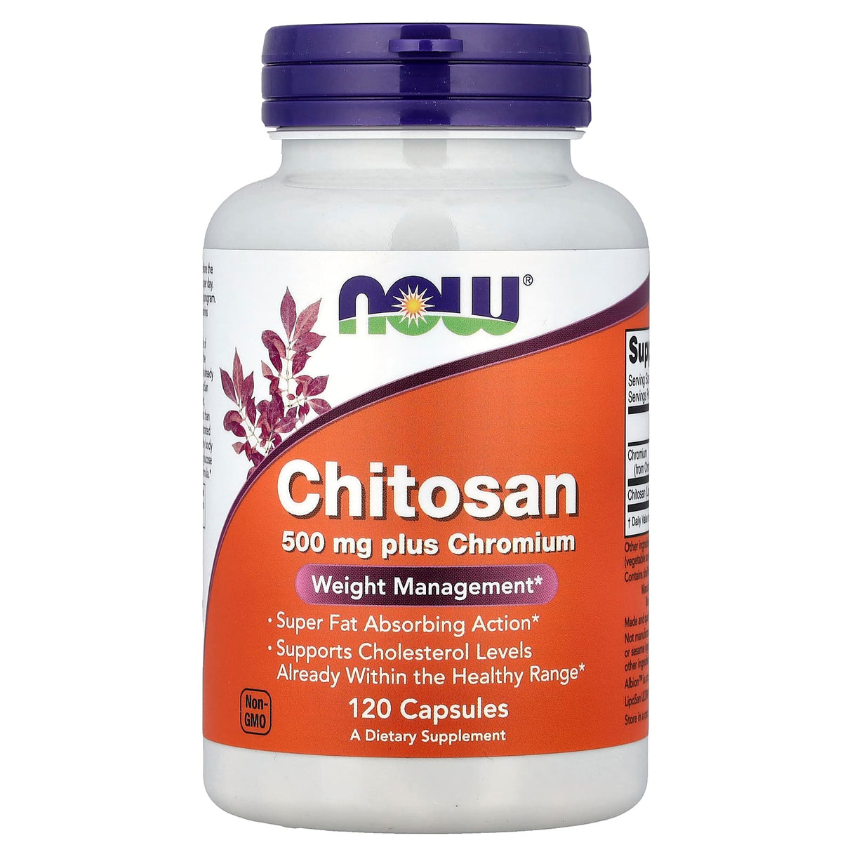 Chitosan, 500mg Plus Chromium, Now Foods, 120 capsule