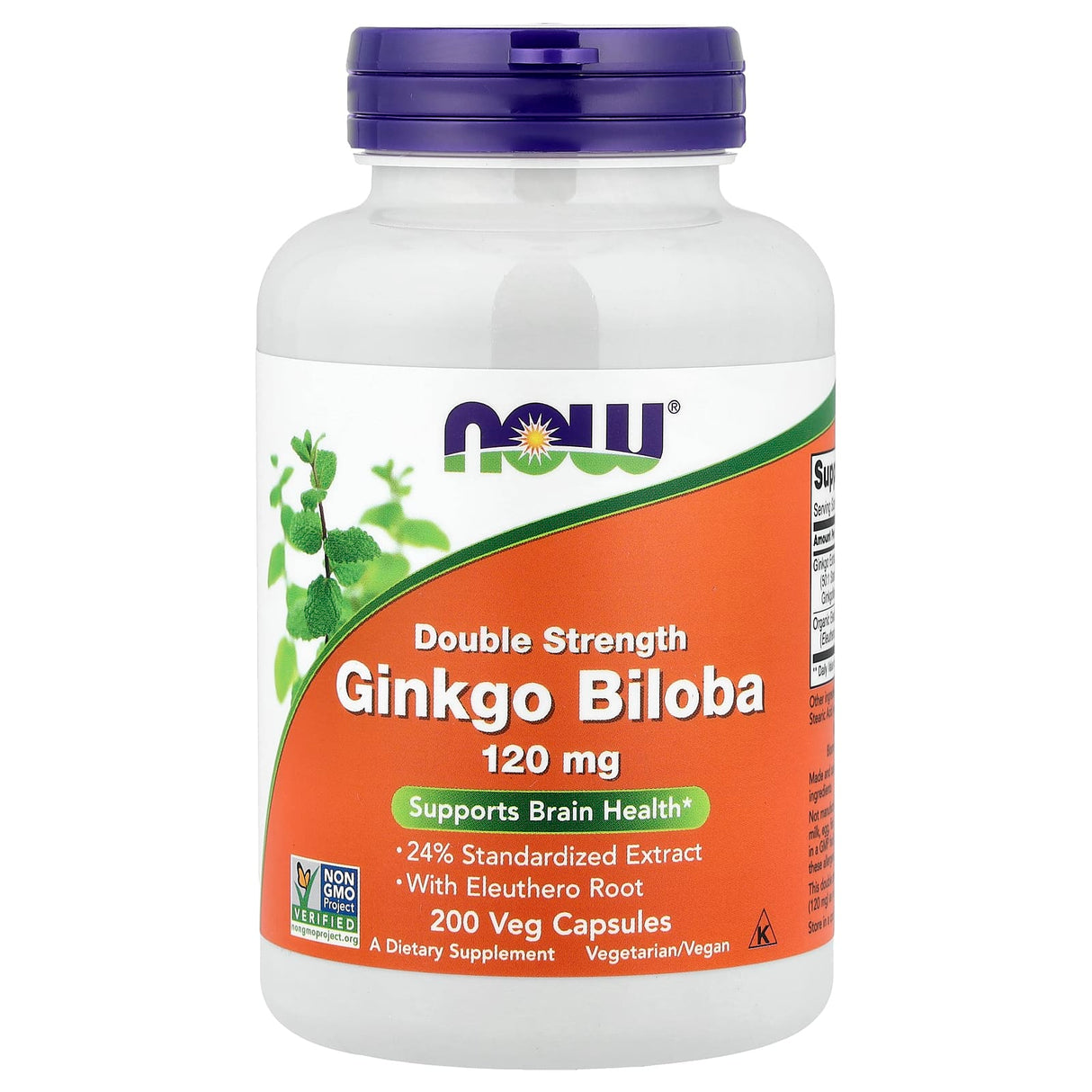 Ginkgo Biloba 120mg, Now Foods, 200 capsule