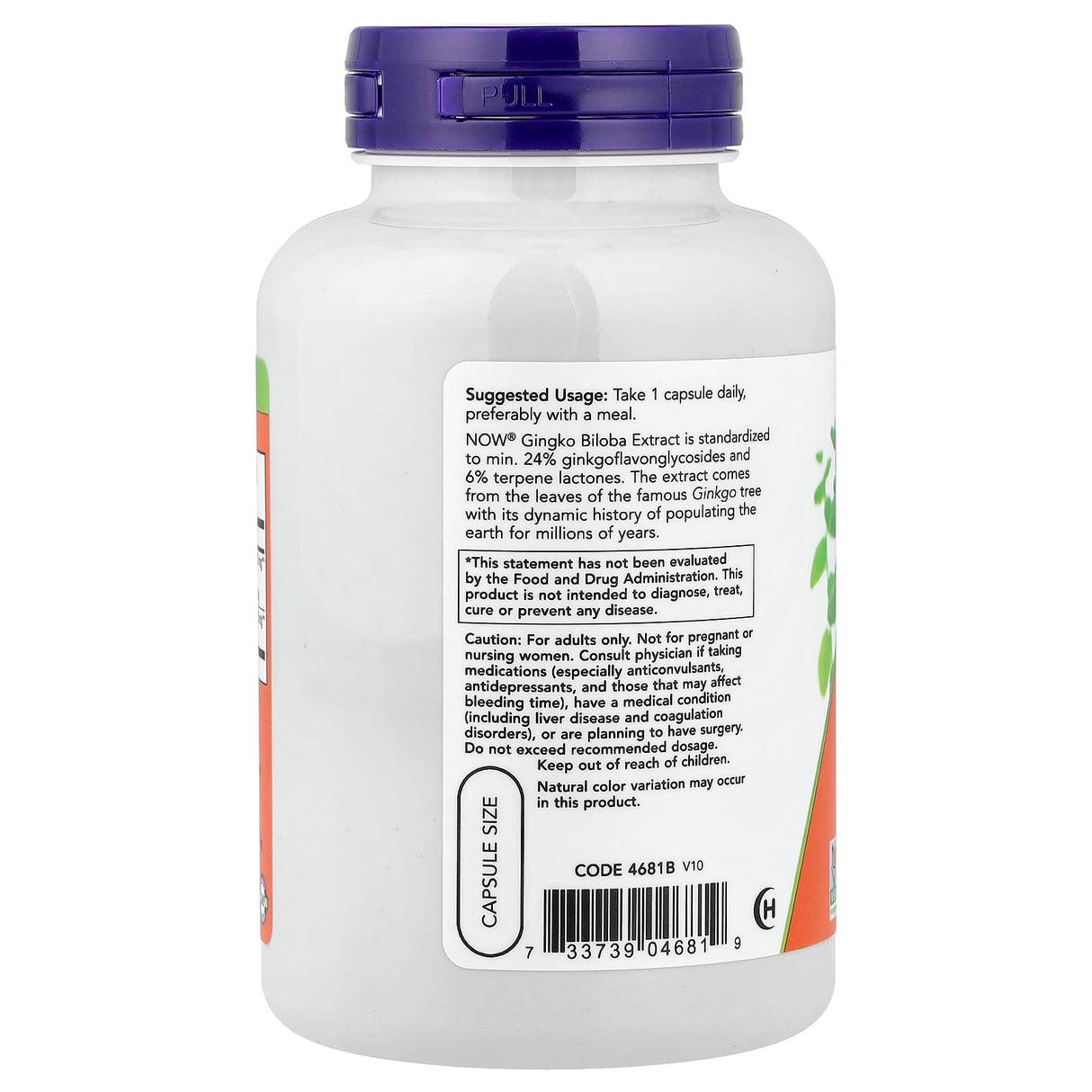 Ginkgo Biloba 120mg, Now Foods, 200 capsule