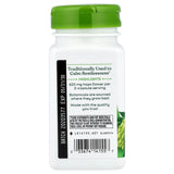 Hops Flowers (Hamei), 310 mg, Nature's Way, 100 Capsule
