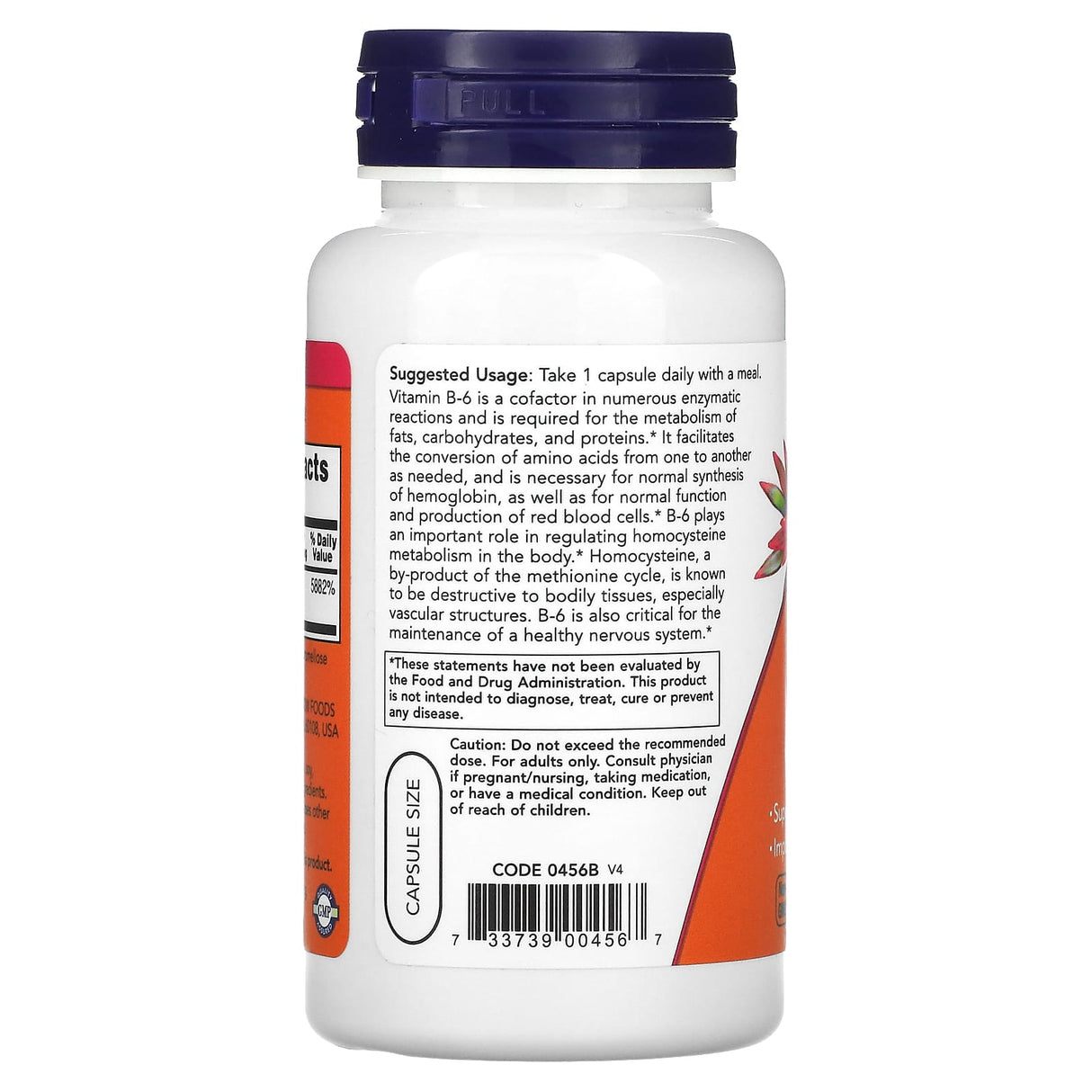 Vitamina B-6 (Piridoxina), 100 mg, Now Foods, 100 capsule