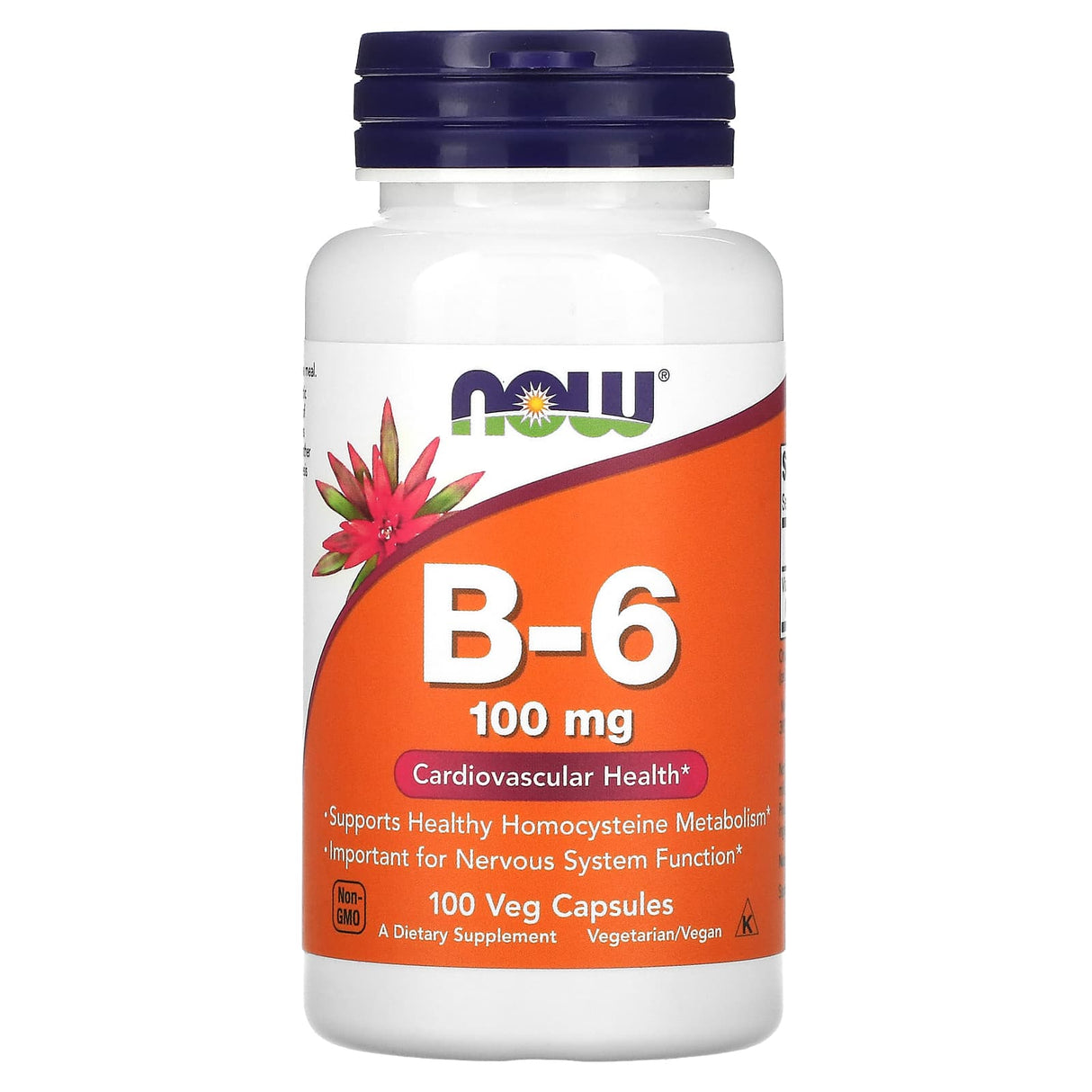 Vitamina B-6 (Piridoxina), 100 mg, Now Foods, 100 capsule