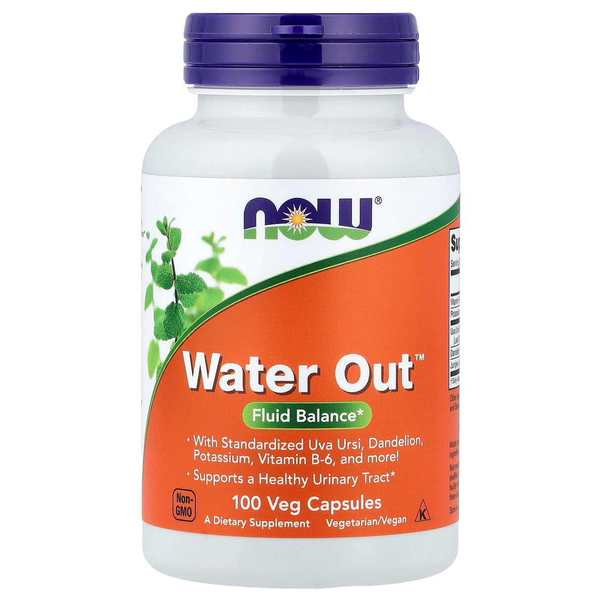 Water Out, (Retentie de Apa) Fluid Balance, Now Foods, 100 capsule