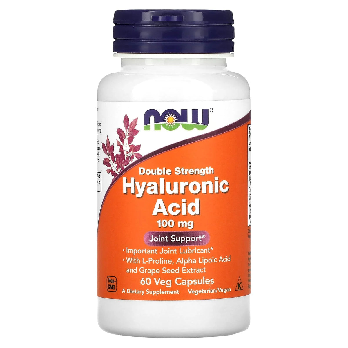 Acid Hialuronic, Hyaluronic Acid, 100 mg, Now Foods, 60 capsule