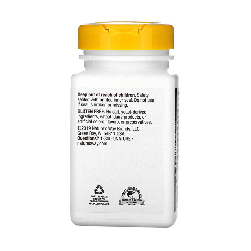 Încărcați imaginea în vizualizatorul Galerie, Choline &amp; Inositol, 1000 mg, Nature&#39;s Way, 100 Capsule
