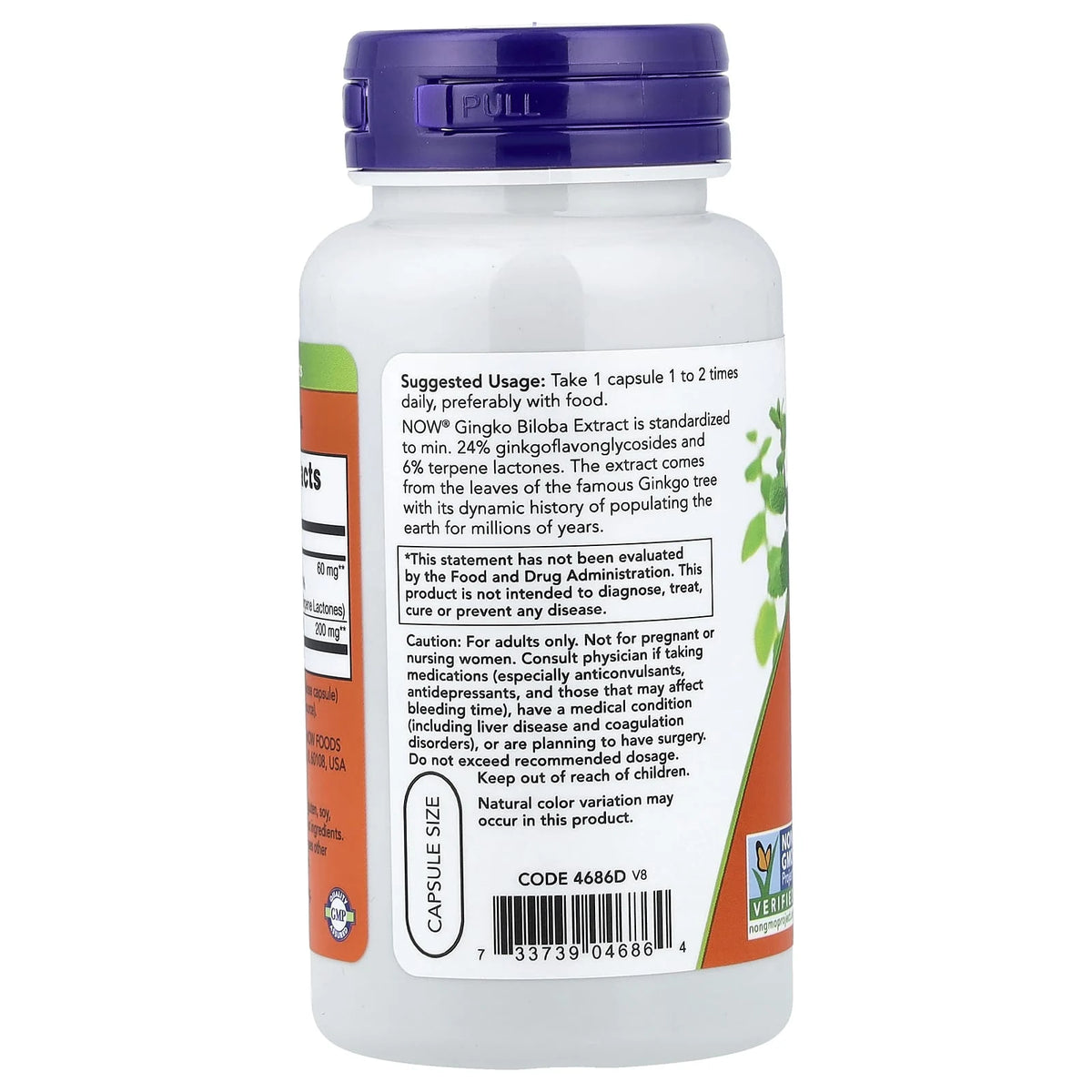 Ginkgo Biloba 60mg, Now Foods, 60 capsule