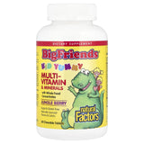 Multi-Vitamin & Minerals Kids, Big Friends, Natural Factors, 60 tablete masticabile